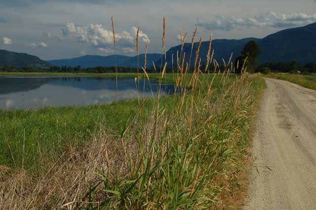 The Clark Fork River Delta opening to Lake Pend Oreille on Scenic Byway 200